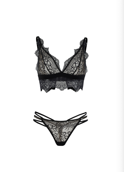Midnight Bloom Panty